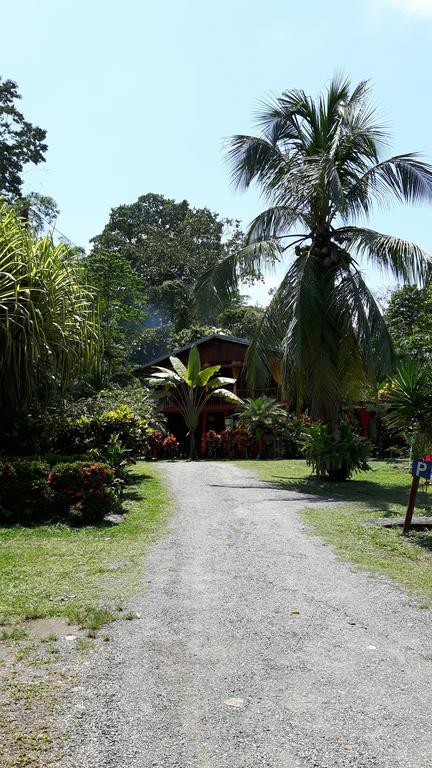 Cabinas Nirvana Ecolodge Кахуита Екстериор снимка