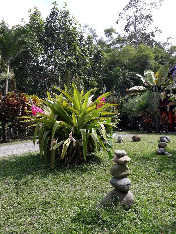 Cabinas Nirvana Ecolodge Кахуита Екстериор снимка
