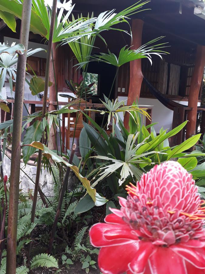 Cabinas Nirvana Ecolodge Кахуита Екстериор снимка